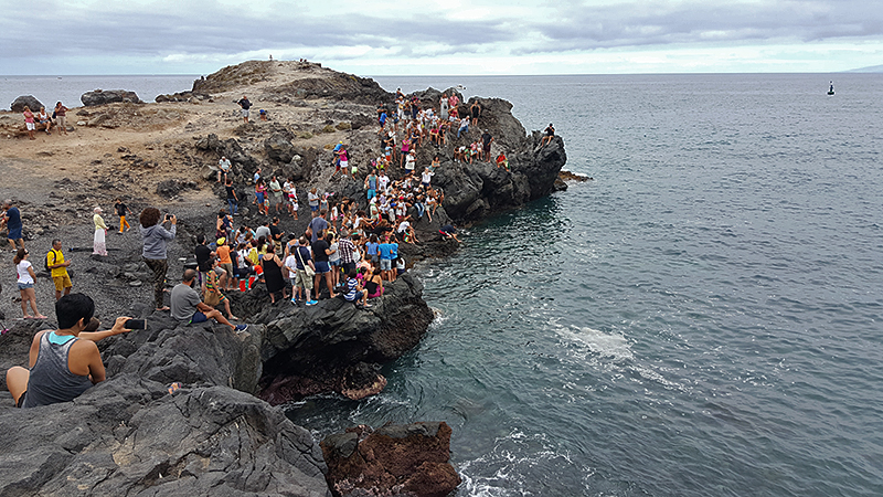 LIBERACIÓN TORTUGAS 14 JULIO 2016